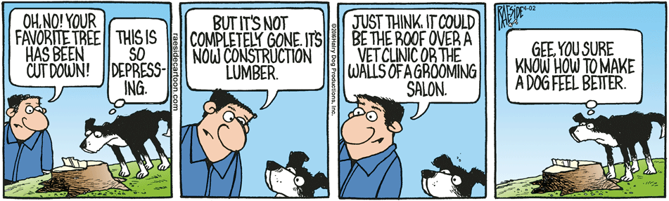 RAESIDE CARTOON | iNFOnews.ca