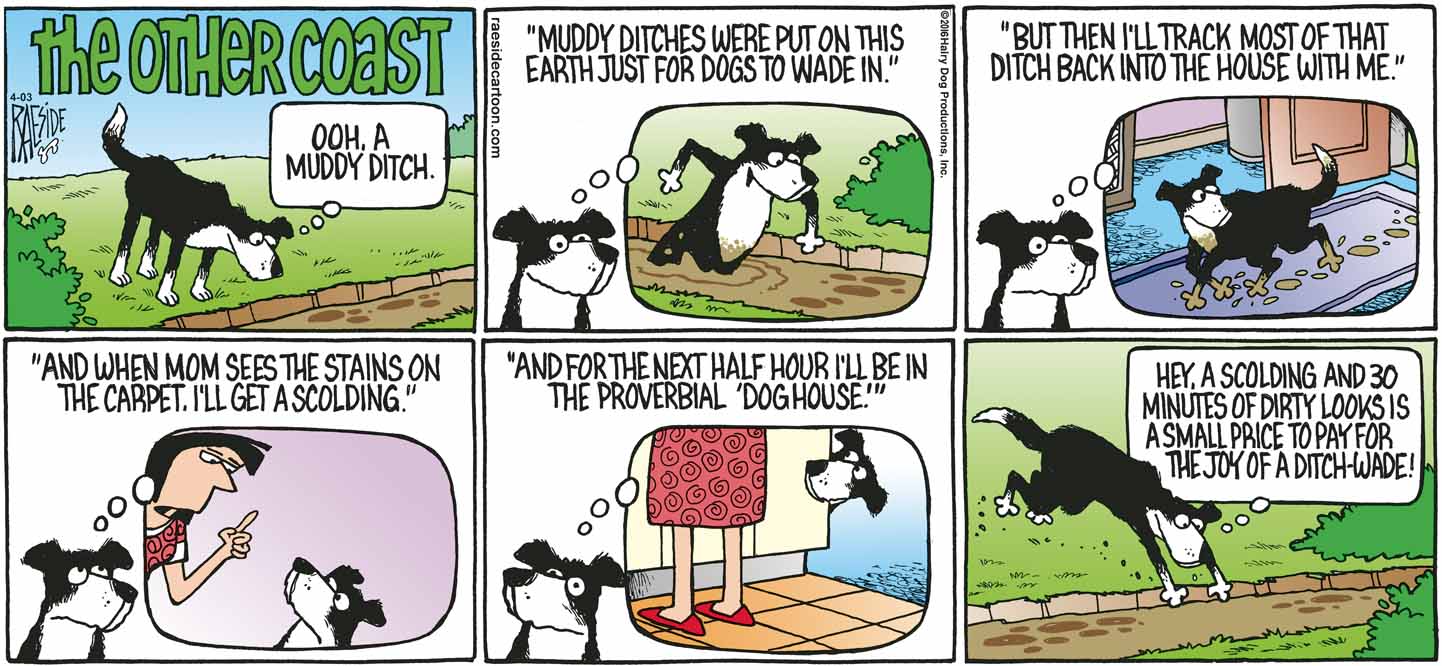 RAESIDE CARTOON | iNFOnews.ca