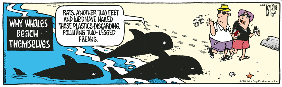 RAESIDE CARTOON | iNFOnews.ca