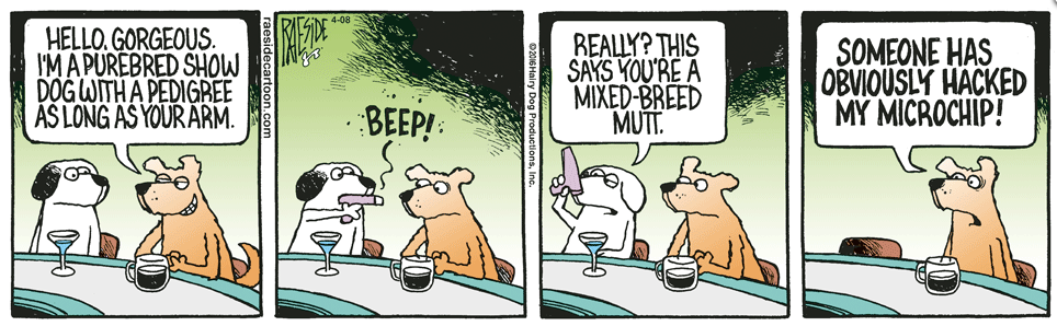 RAESIDE CARTOON | iNFOnews.ca