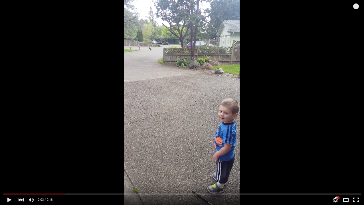 TRENDING NOW: Adorable kid talks turkey | iNFOnews.ca TRENDING NOW: Adorable kid talks turkey | iNFOnews.ca