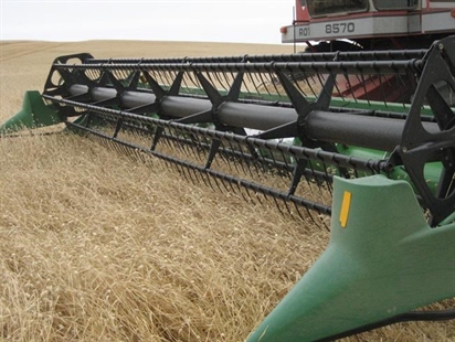 Would you eat canary seed? Health Canada says gluten-free grain is safe for humans | iNFOnews.ca