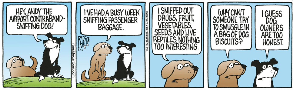 RAESIDE CARTOON | iNFOnews.ca