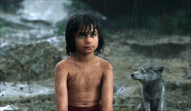 'Jungle Book' roars with $103.6 million debut at box office | iNFOnews.ca 'Jungle Book' roars with $103.6 million debut at box office | iNFOnews.ca
