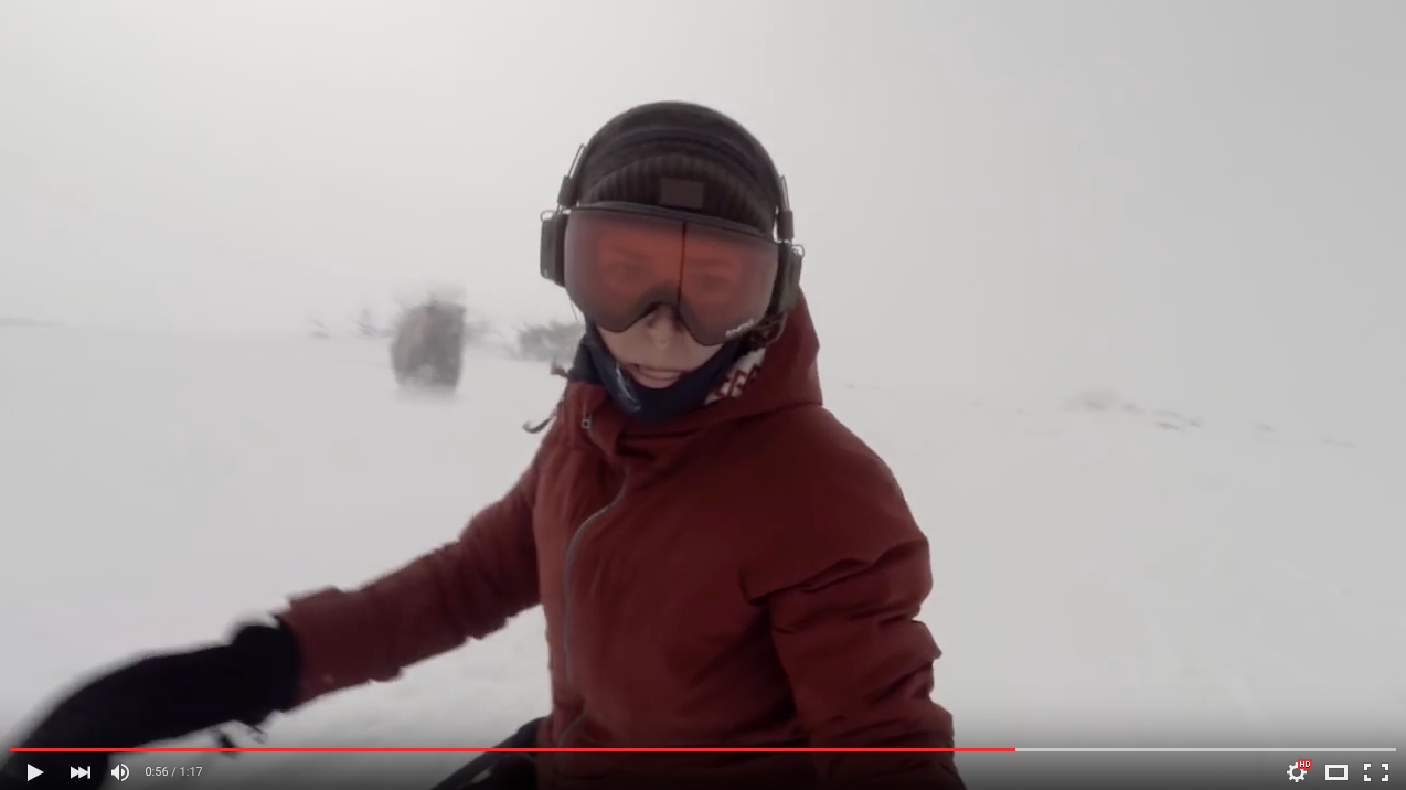 TRENDING NOW: Is this snowboarder actually being chased by a bear? | iNFOnews.ca