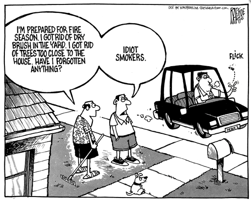 RAESIDE CARTOON | iNFOnews.ca