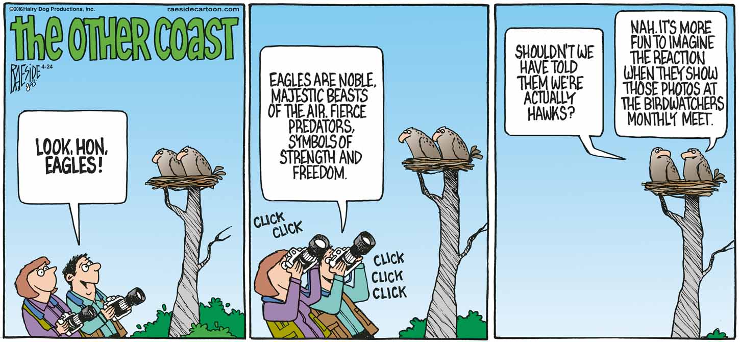 RAESIDE CARTOON | iNFOnews.ca