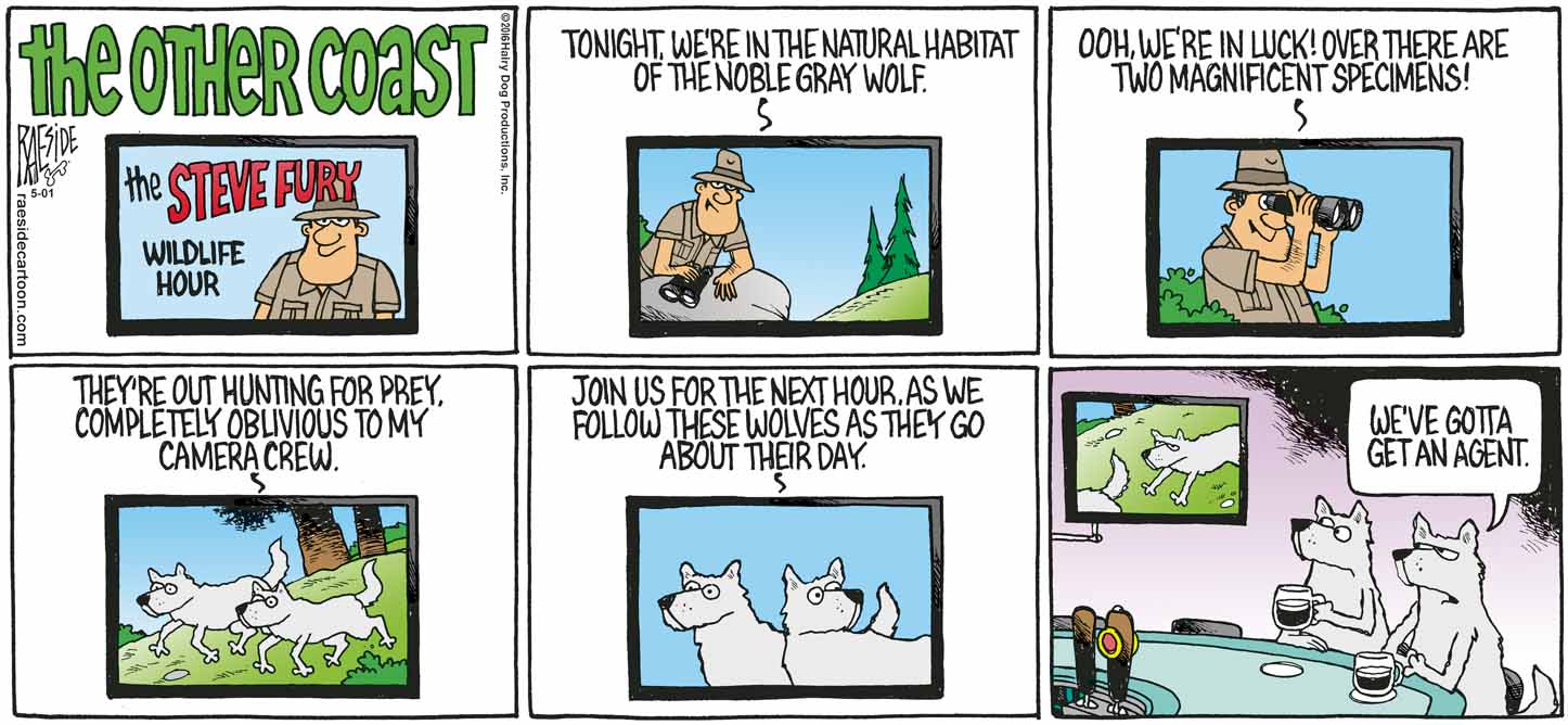 RAESIDE CARTOON | iNFOnews.ca