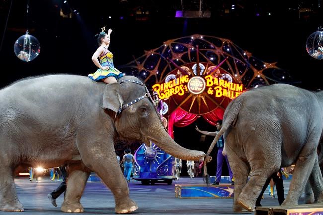 Elephants to perform for final time at Ringling Bros. circus | iNFOnews.ca