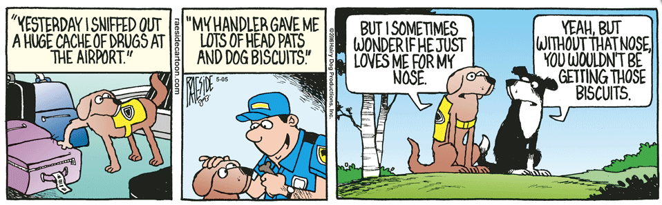 RAESIDE CARTOON | iNFOnews.ca