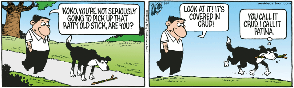 RAESIDE CARTOON | iNFOnews.ca