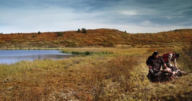 'Koneline: our land beautiful' named top Canadian feature at HotDocs festival | iNFOnews.ca 'Koneline: our land beautiful' named top Canadian feature at HotDocs festival | iNFOnews.ca