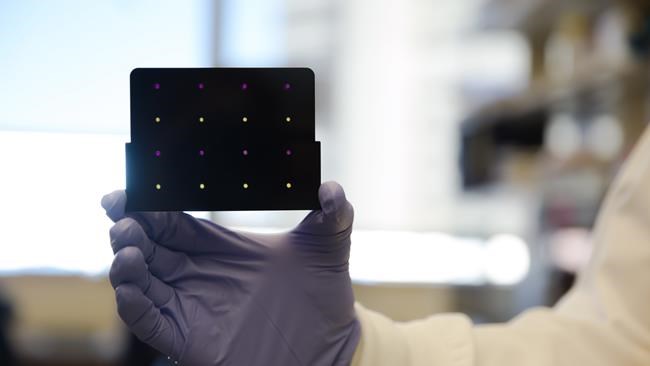 Portable test for Zika infection could help contain spread of virus: researchers | iNFOnews.ca Portable test for Zika infection could help contain spread of virus: researchers | iNFOnews.ca