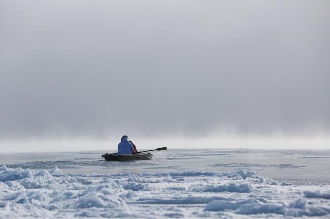 Documentary 'Angry Inuk' at Hot Docs fest shows role of Inuit in seal hunt | iNFOnews.ca Documentary 'Angry Inuk' at Hot Docs fest shows role of Inuit in seal hunt | iNFOnews.ca