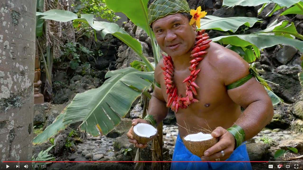 TRENDING NOW: Coolest way to open a coconut | iNFOnews.ca TRENDING NOW: Coolest way to open a coconut | iNFOnews.ca