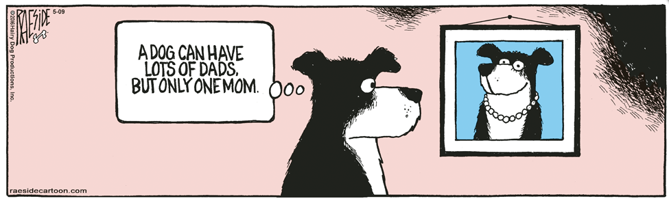 RAESIDE CARTOON | iNFOnews.ca