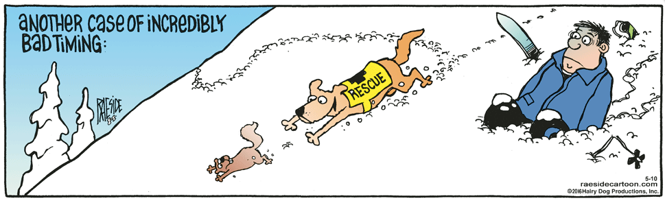 RAESIDE CARTOON | iNFOnews.ca