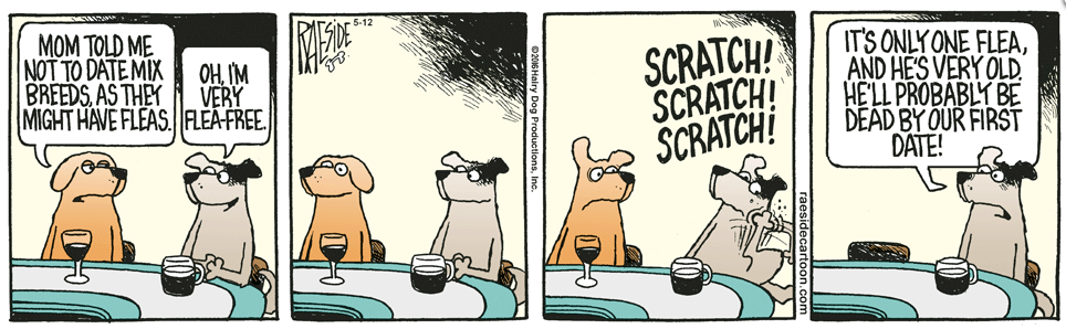 RAESIDE CARTOON | iNFOnews.ca