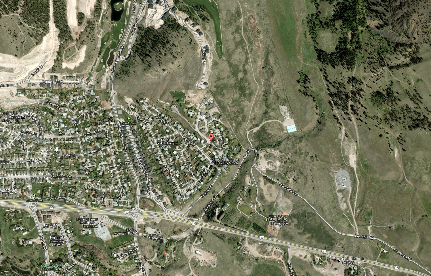 Cougar shot in Kelowna neighbourhood | iNFOnews.ca Cougar shot in Kelowna neighbourhood | iNFOnews.ca