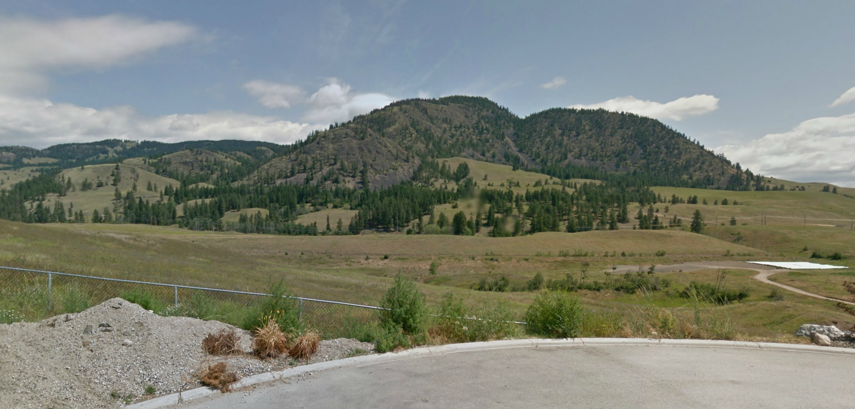 Cougar shot in Kelowna neighbourhood | iNFOnews.ca Cougar shot in Kelowna neighbourhood | iNFOnews.ca