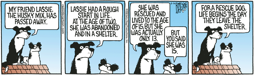 RAESIDE CARTOON | iNFOnews.ca