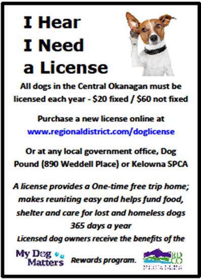 I hear I need a license – help return dogs to their owners | iNFOnews.ca