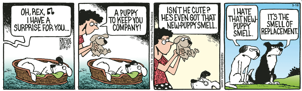 RAESIDE CARTOON | iNFOnews.ca