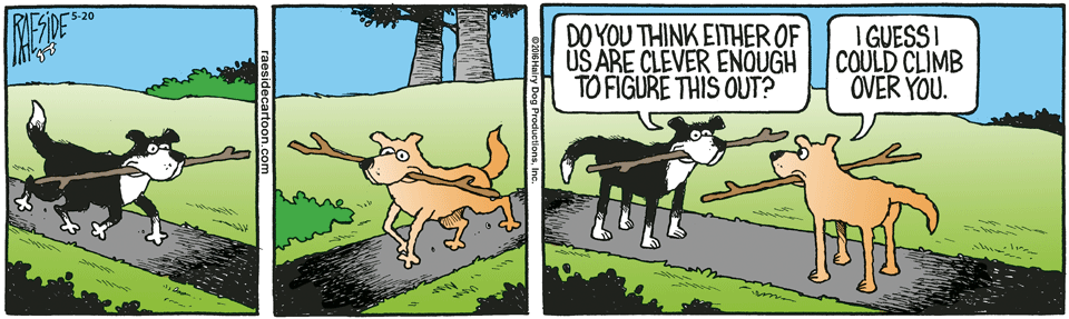 RAESIDE CARTOON | iNFOnews.ca