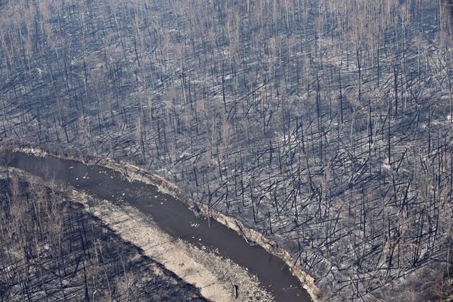 Alberta bringing in extra firefighters to gain upper hand on Fort McMurray fire | iNFOnews.ca