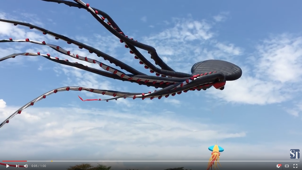 TRENDING NOW: Amazing giant octopus kite | iNFOnews.ca TRENDING NOW: Amazing giant octopus kite | iNFOnews.ca