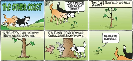 RAESIDE CARTOON | iNFOnews.ca