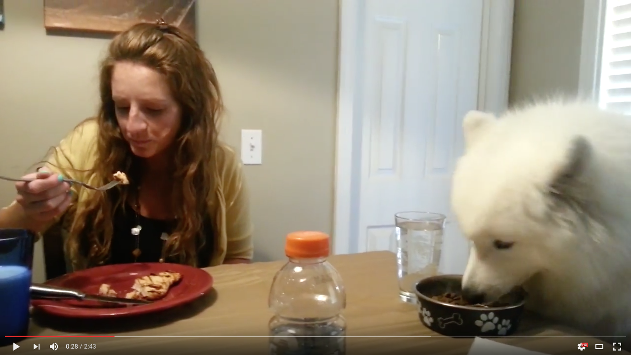 TRENDING NOW: Dog politely eats at dinner table | iNFOnews.ca TRENDING NOW: Dog politely eats at dinner table | iNFOnews.ca