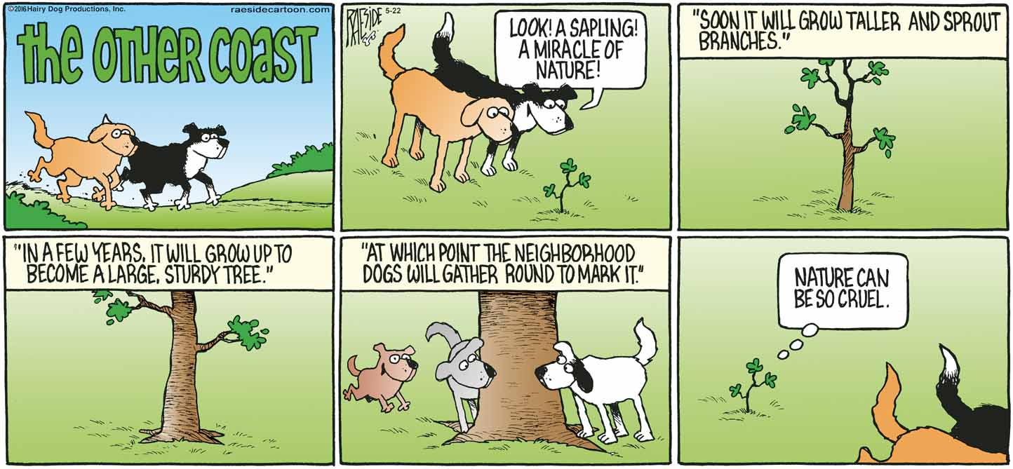 RAESIDE CARTOON | iNFOnews.ca