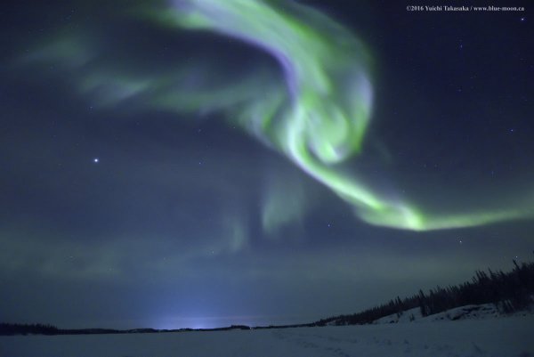 Lumby man chases the northern lights around the world | iNFOnews.ca