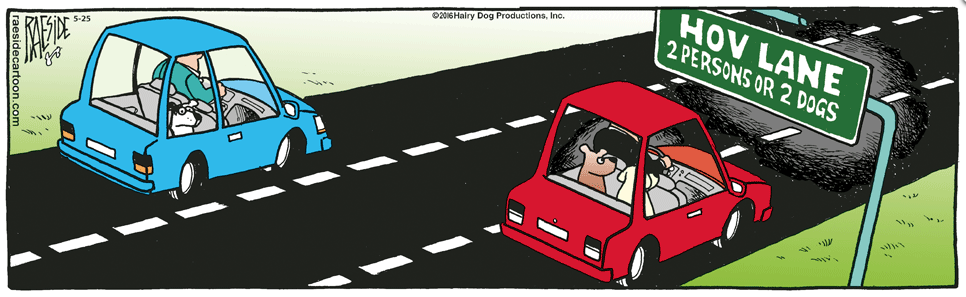 RAESIDE CARTOON | iNFOnews.ca