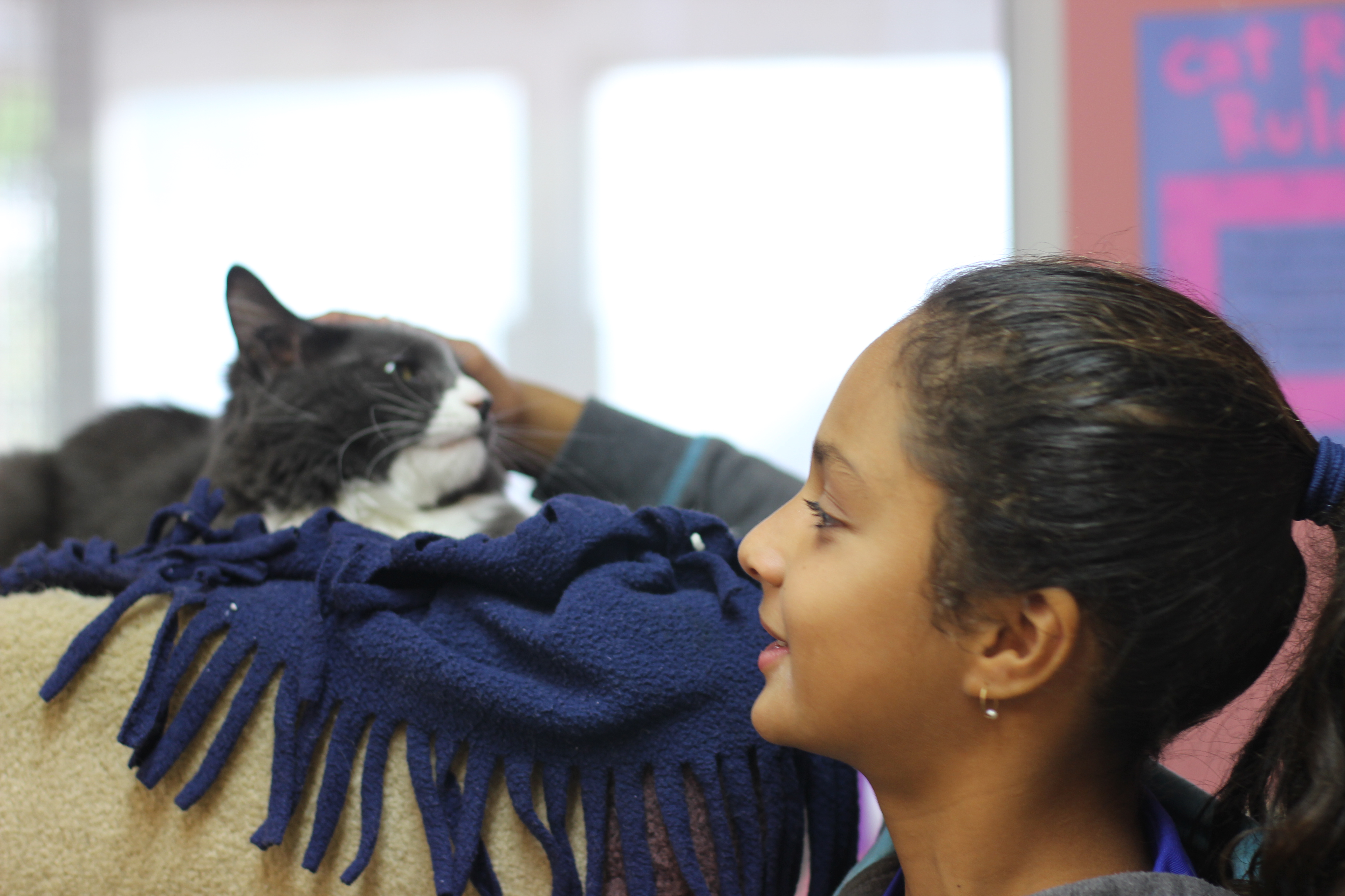 BC SPCA summer camps offer kids a unique experience with animals | iNFOnews.ca
