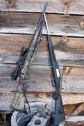 Online licence program will not replace vendors | iNFOnews.ca