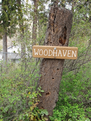 Opportunity to help shape Central Okanagan park plan | iNFOnews.ca