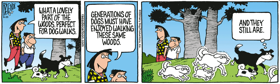 RAESIDE CARTOON | iNFOnews.ca