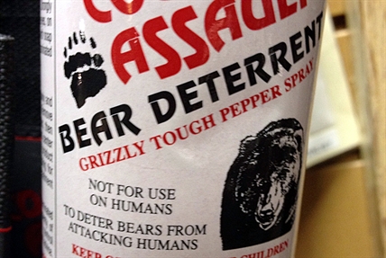 Man bear sprayed twice in downtown Kelowna | iNFOnews.ca Man bear sprayed twice in downtown Kelowna | iNFOnews.ca