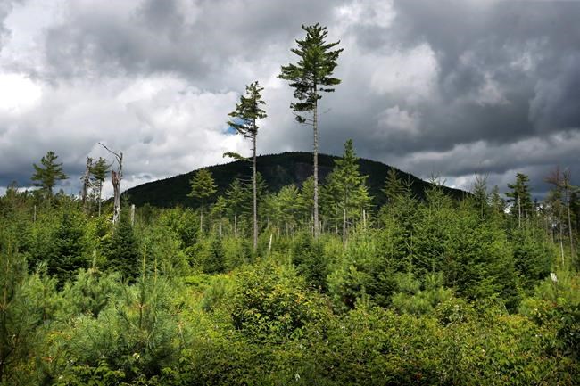 Suicide by job: Farmers, lumberjacks, fisherman top list | iNFOnews.ca