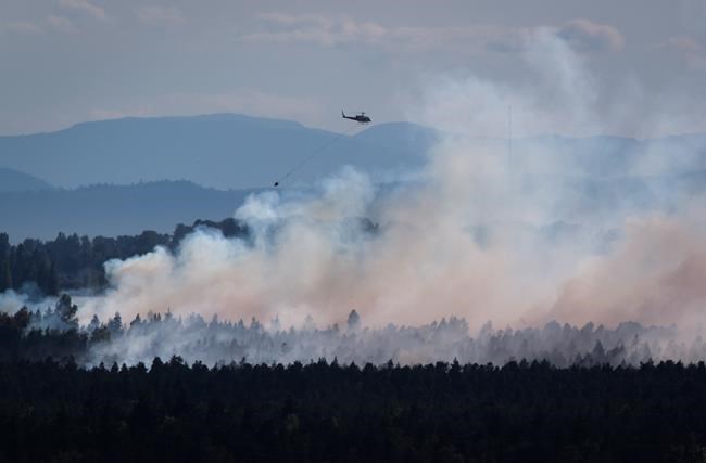 Provincial crews called in to help battle wildfire near Delta, B.C. | iNFOnews.ca