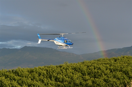 Life not a bowl of cherries for Okanagan residents or rain-soaked farmers | iNFOnews.ca