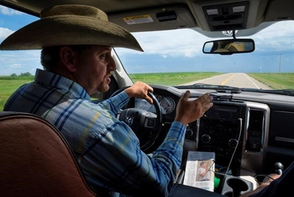 Rancher calls for action to reduce elk numbers at Alberta military base | iNFOnews.ca