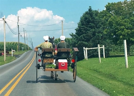 How Amish see Donald Trump, the otherworldly candidate they've never heard speak | iNFOnews.ca How Amish see Donald Trump, the otherworldly candidate they've never heard speak | iNFOnews.ca