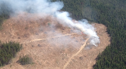 UPDATE: Chute Lake wildfire contained | iNFOnews.ca