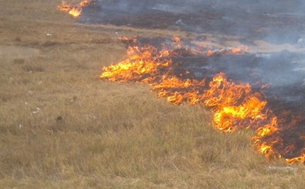 Quick action by locals contains grass fire | iNFOnews.ca Quick action by locals contains grass fire | iNFOnews.ca