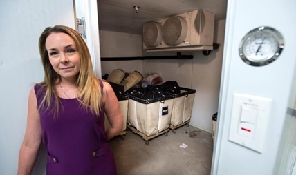Bed bugs remain intractable problem in Montreal as new university year begins | iNFOnews.ca Bed bugs remain intractable problem in Montreal as new university year begins | iNFOnews.ca