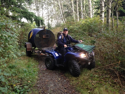 Vacation over for pair of grizzlies caught on remote island in B.C. | iNFOnews.ca Vacation over for pair of grizzlies caught on remote island in B.C. | iNFOnews.ca