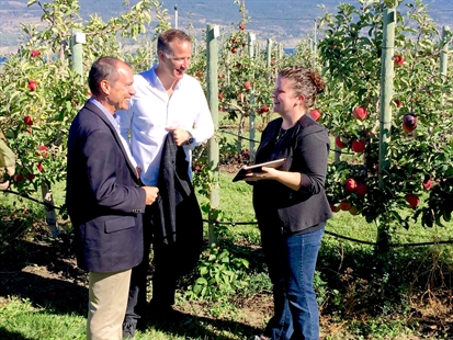 New decision support tool to give Okanagan tree fruit growers edge on pest management | iNFOnews.ca